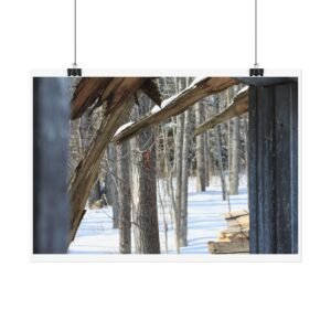 winter poster
