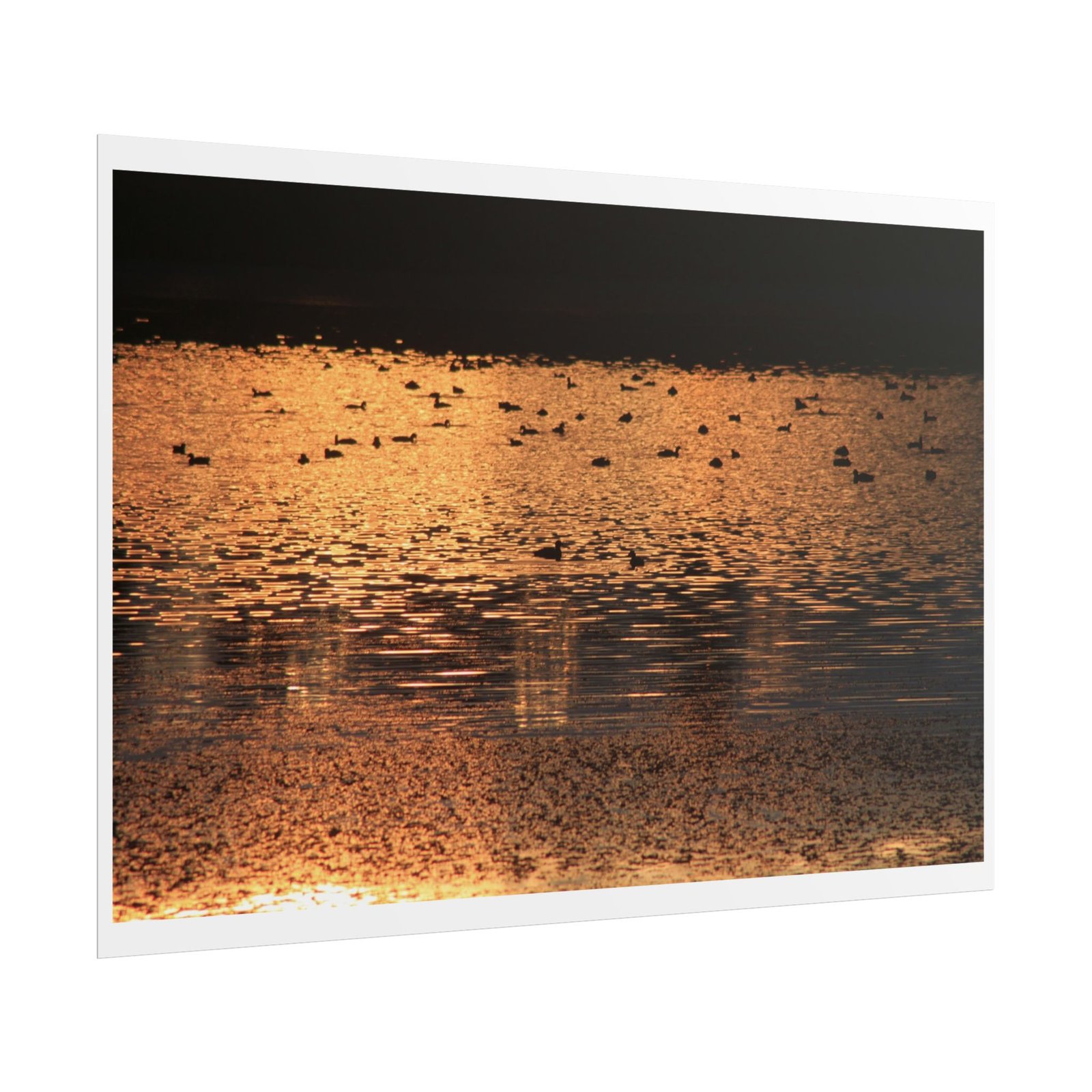 dusk reflected poster dusk reflected poster