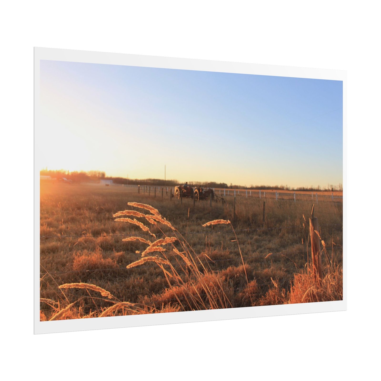 prairie gold poster prairie gold poster