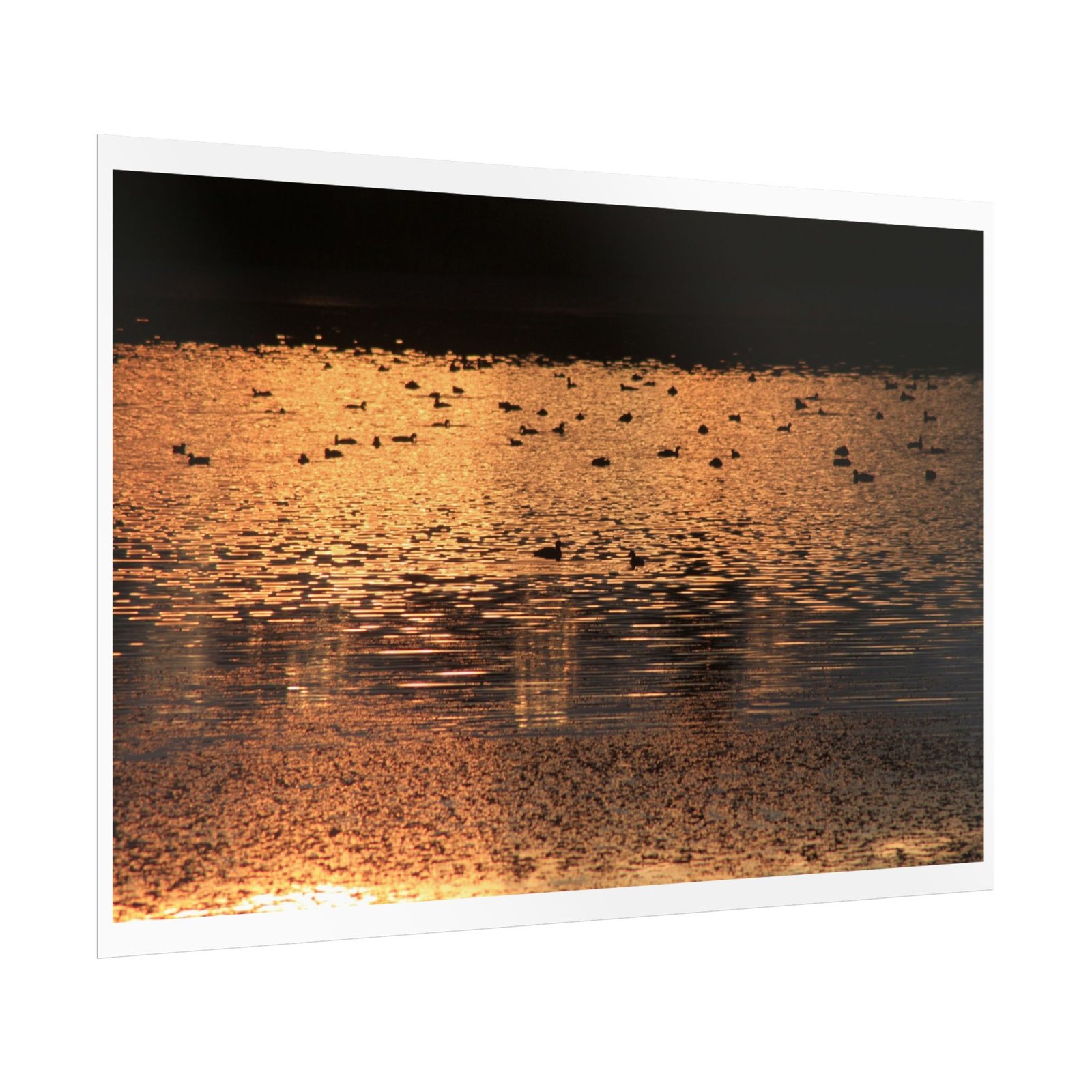 dusk reflected poster dusk reflected poster