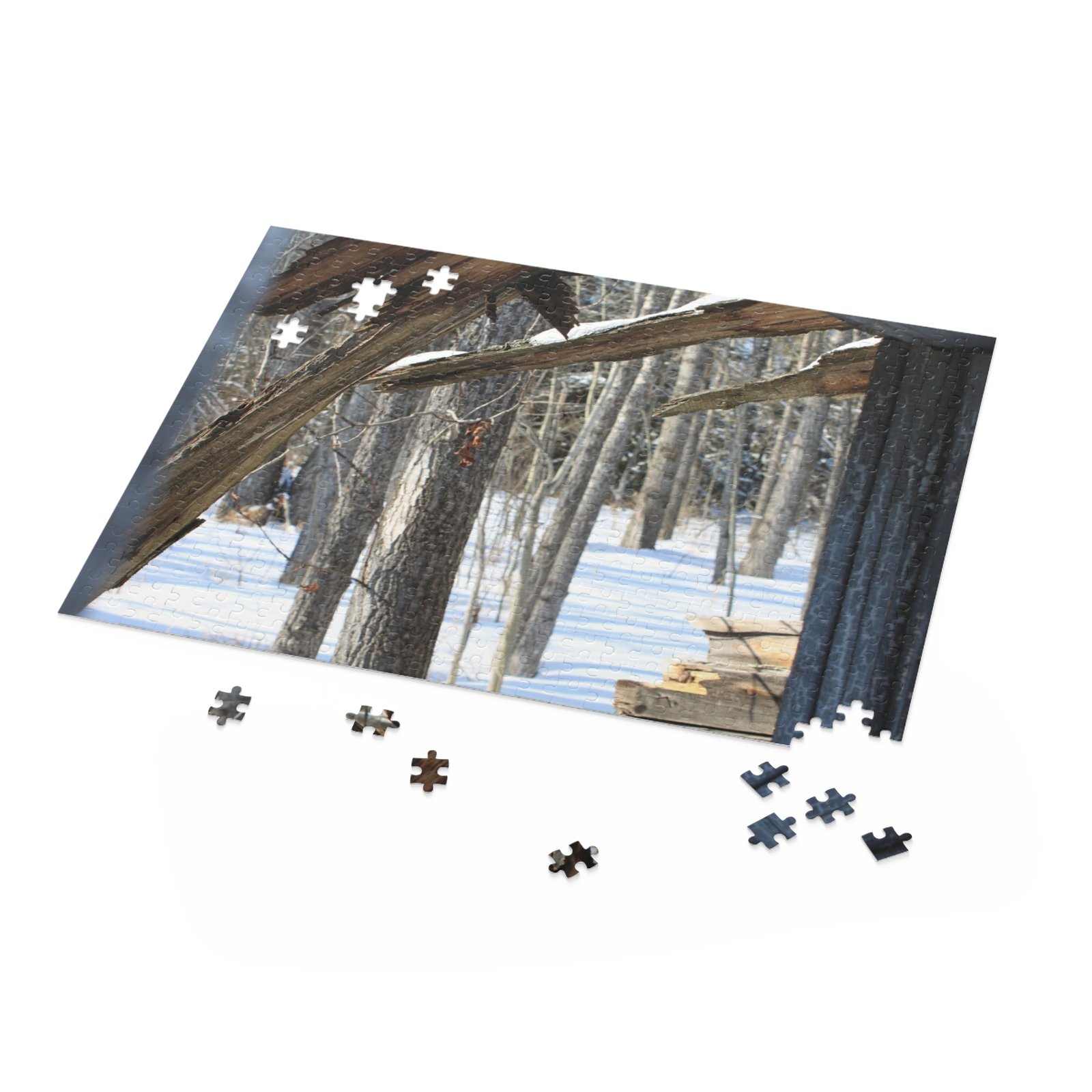 winter puzzle winter puzzle