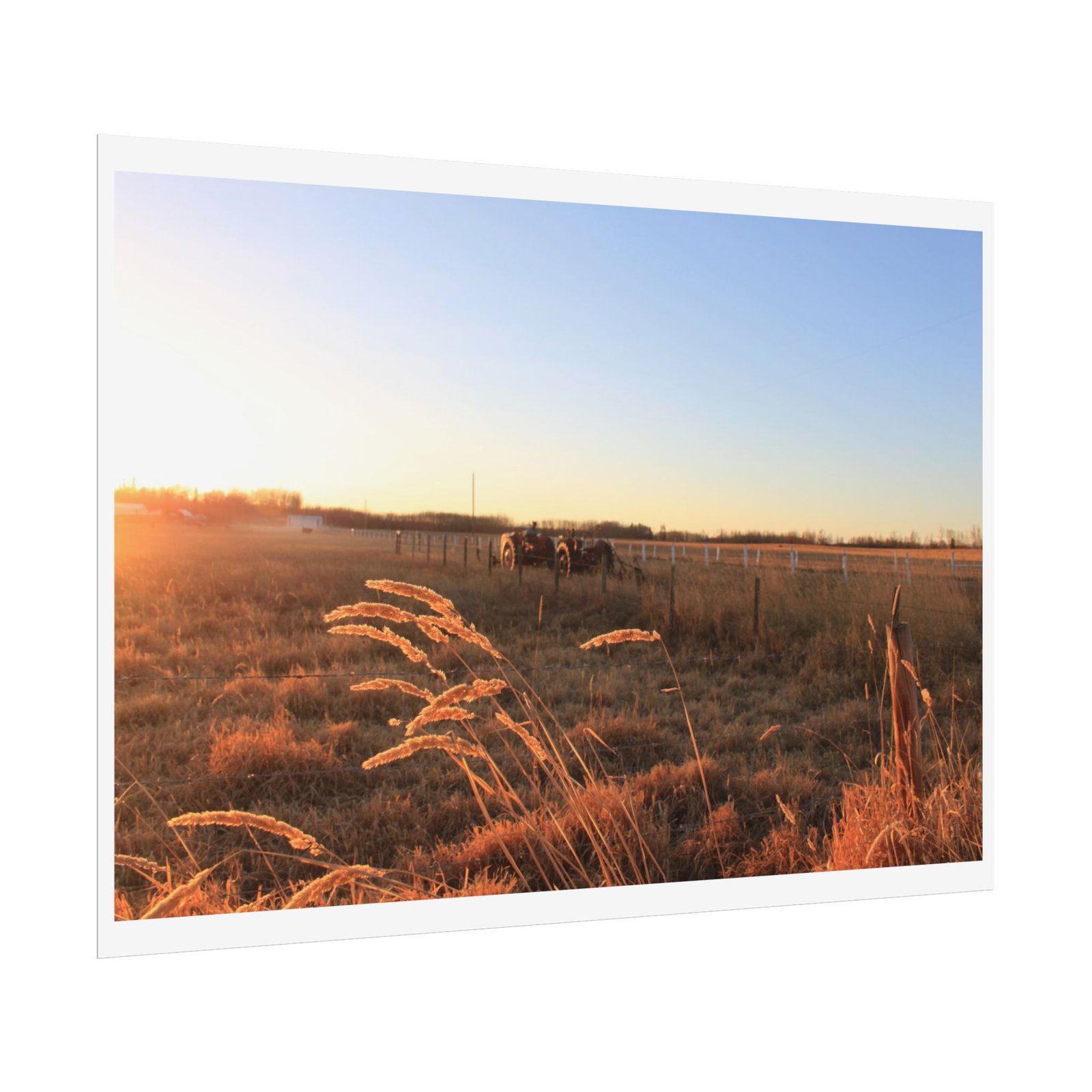 prairie gold poster prairie gold poster