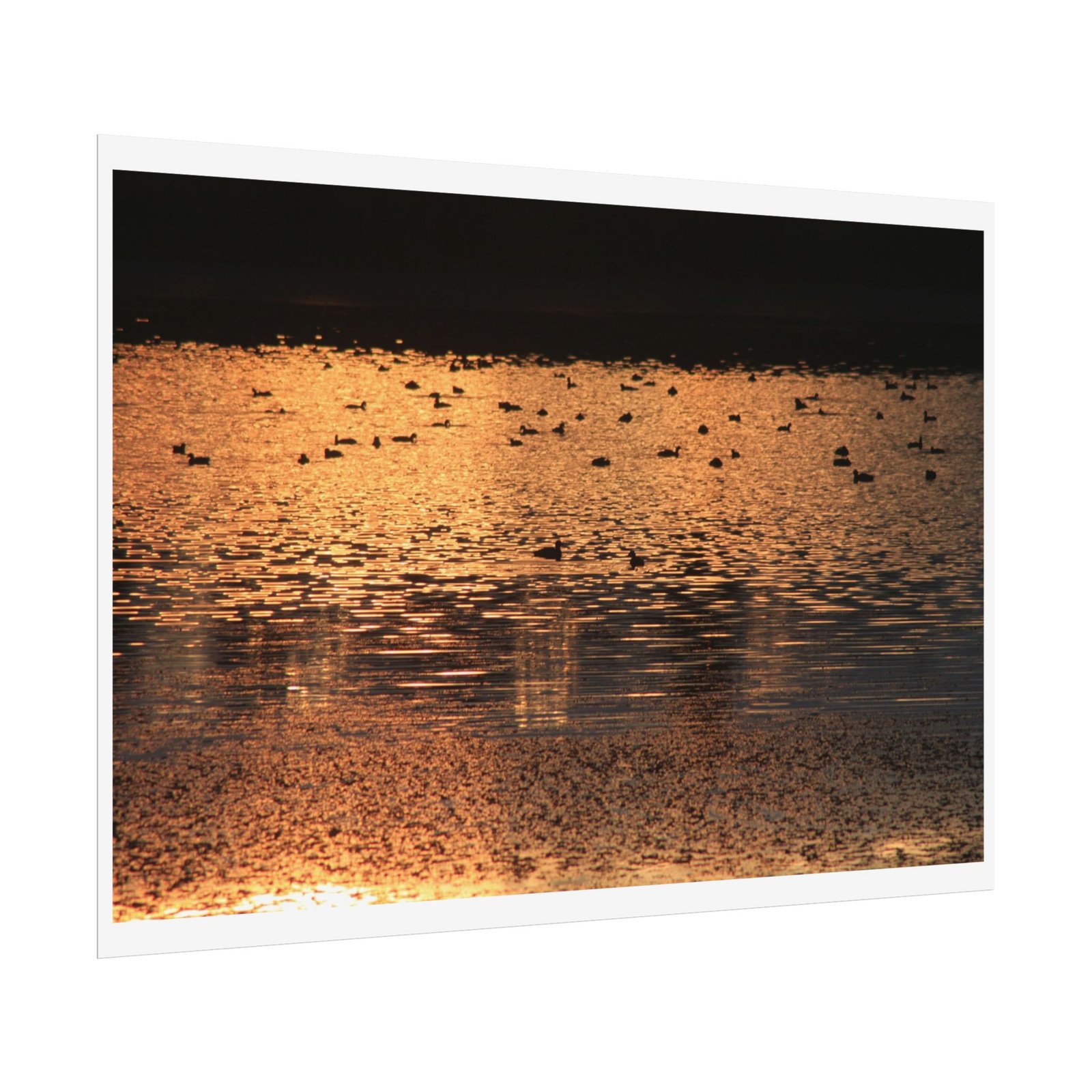 dusk reflected poster dusk reflected poster