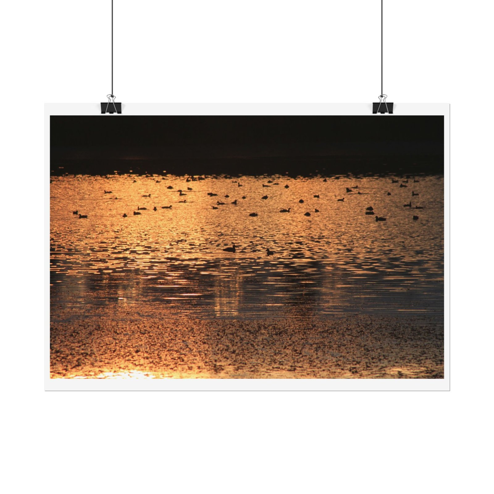 dusk reflected poster dusk reflected poster