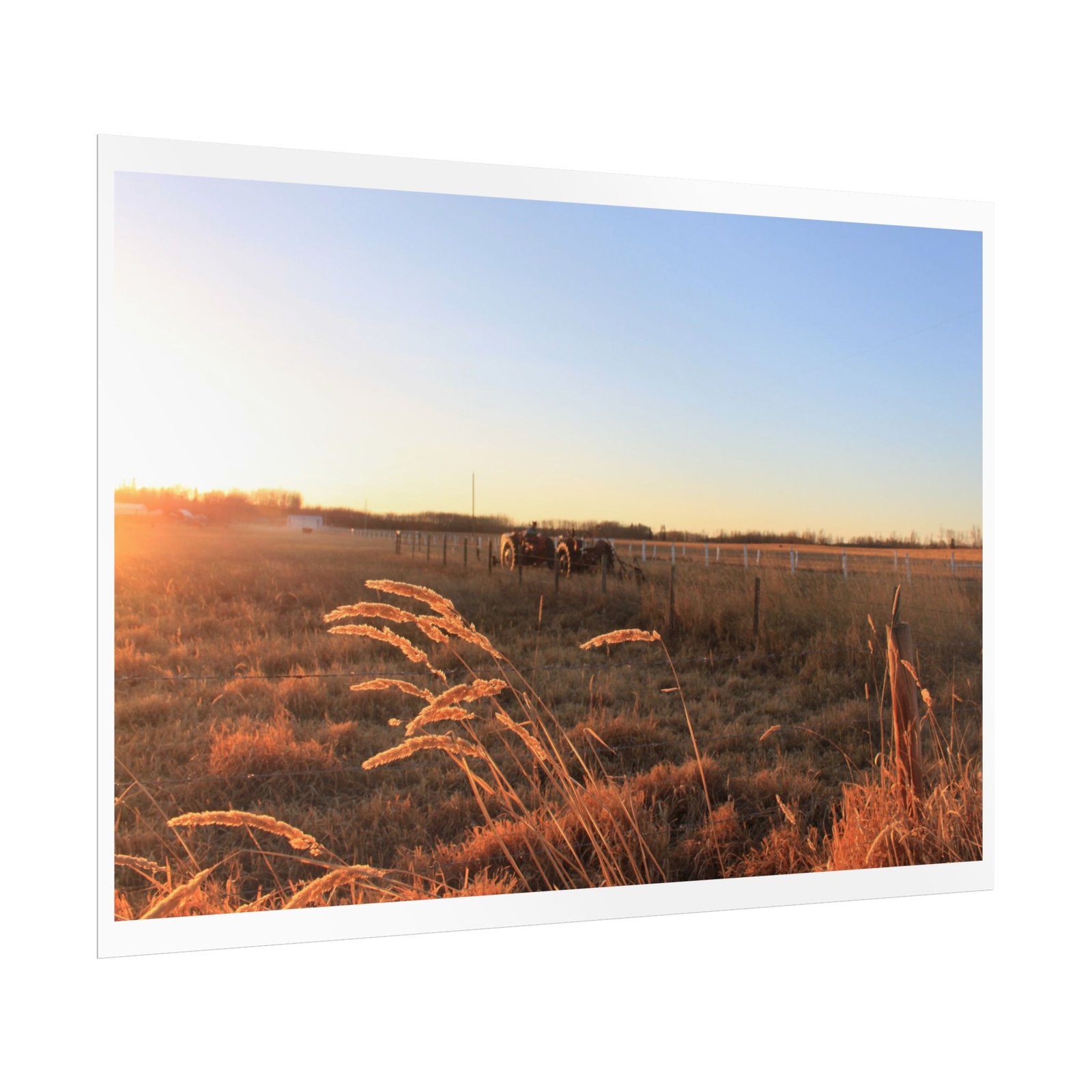 prairie gold poster prairie gold poster