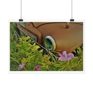 wild rust poster