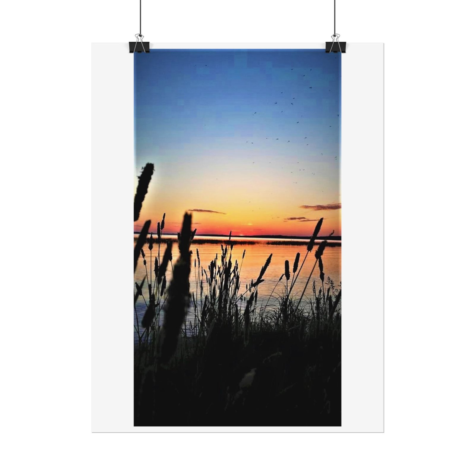 sunset reeds roll poster sunset reeds roll poster