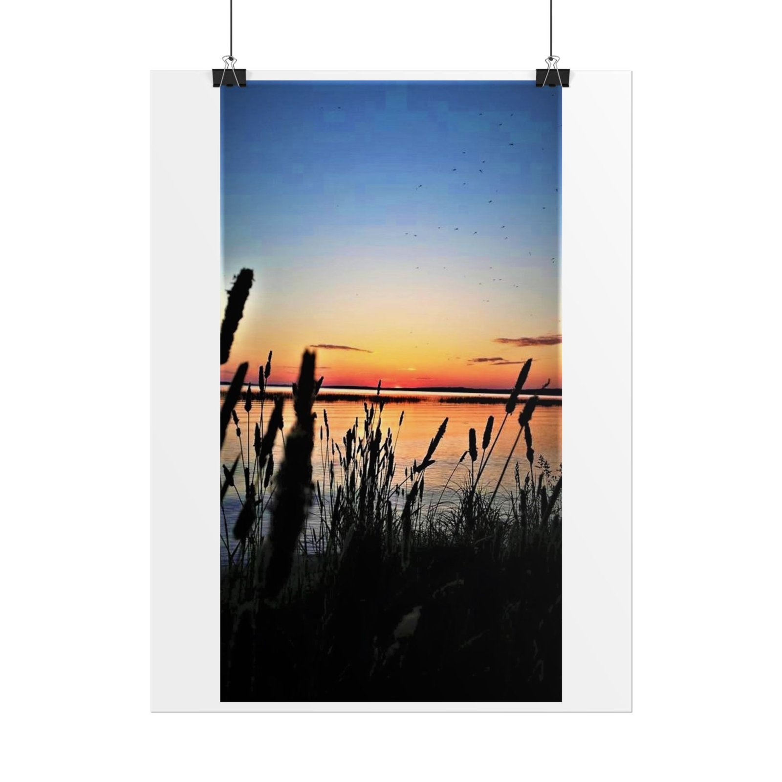 sunset reeds roll poster sunset reeds roll poster